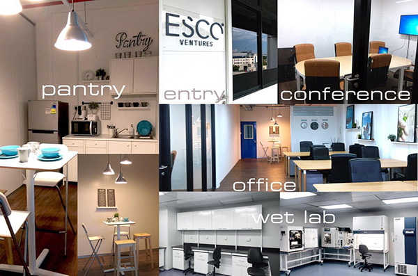 Esco Ventures Labs, ready for incubatee companies